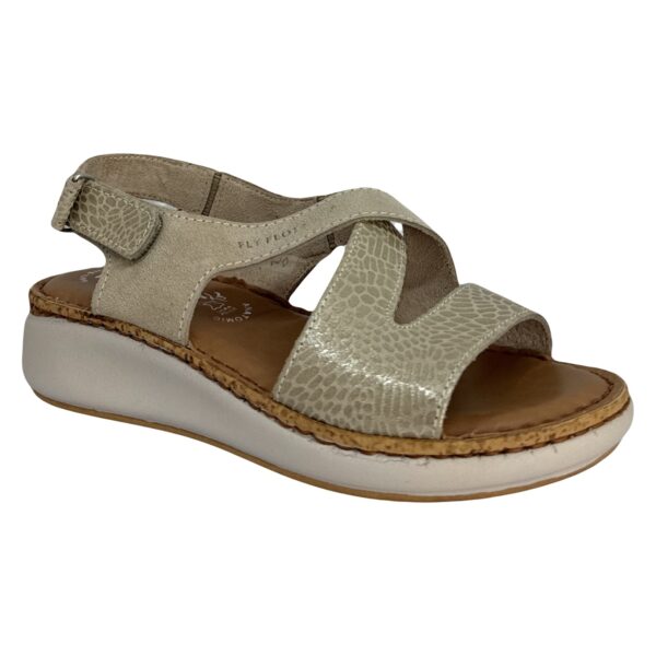 G09 Debra FLYFLOT - Imagen 2