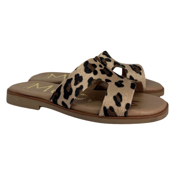 15001 Leopardo MOLONAS